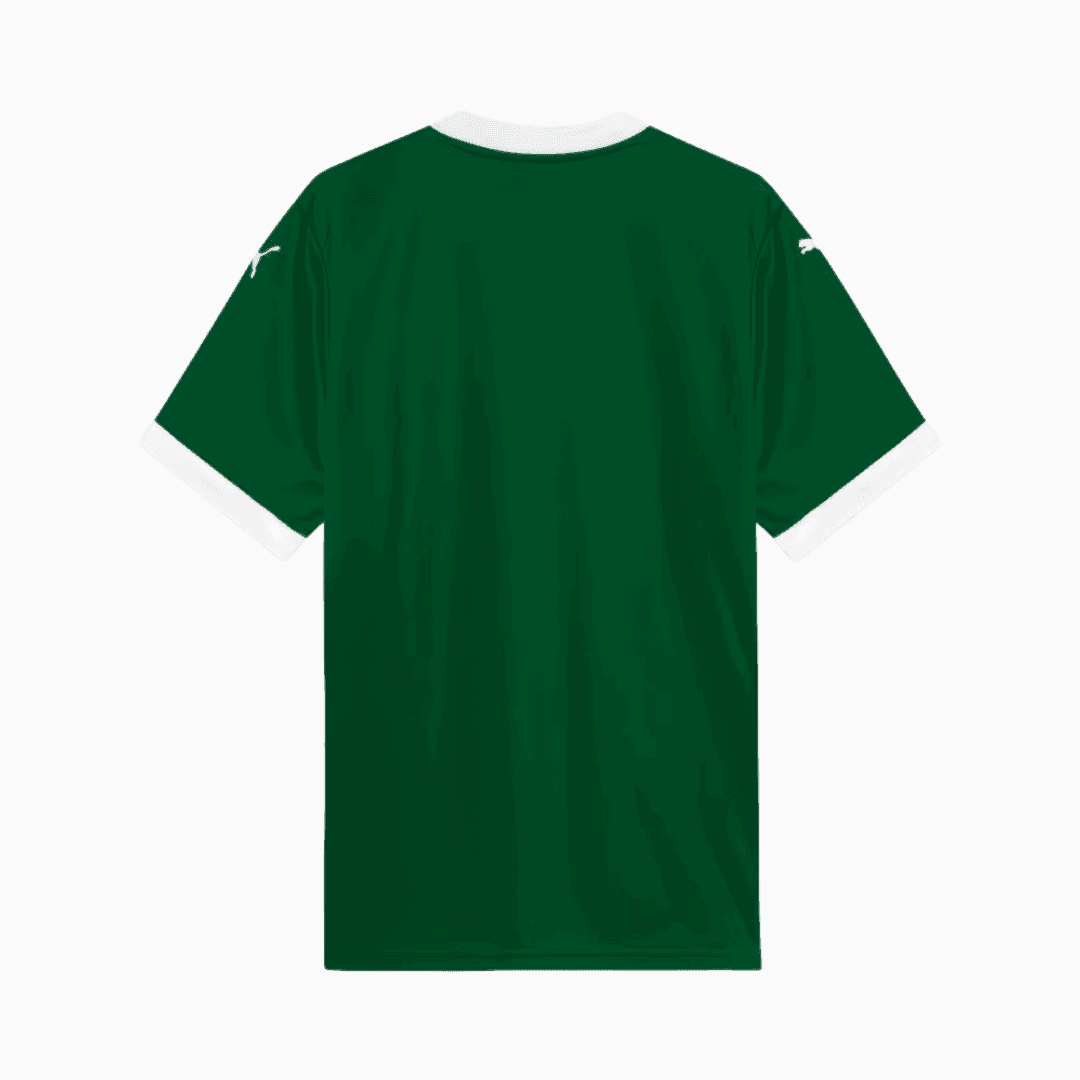 Camisa Puma Palmeiras 2025/26 I - Piquerez N° 22